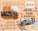 ターゲットに響く、魅力的なバナーを制作します 広告・SNS・ECサイト用等、目的に合わせたバナーを制作 イメージ2
