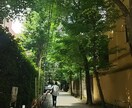 ◆◇◆愚痴聴きます◆◇◆周囲の人に言いにくい愚痴や悩み、吐き出しませんか？ イメージ3