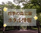 目に留まるインスタ投稿画像を作成します SNSで新商品やキャンペーンを告知したい方へ イメージ7