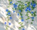 気軽に相談してください。なんでも聞きます 初心者ですがよろしくお願いします イメージ1