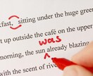 ネイティブ品質の自然英訳します アメリカ人が違和感なく読める自然な英語に仕上げます。 イメージ1