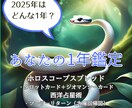 あなたの2025年の運勢を鑑定します 2025年はどんな年になるかを紐解いてみませんか？ イメージ1