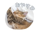 願望実現♡願いが叶いやすくなる心のサポートします ✨幸せを現実に引き寄せ♡60分×9回セッションPDF資料付 イメージ10