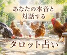 タロットであなたの本音と対話します 一緒に、タロットと本音の会話してみませんか？ イメージ1
