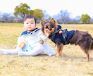 愛知県でのお子様やご家族の出張写真撮影を承ります 全カット納品！大手写真撮影受託会社契約カメラマンが撮影！ イメージ7