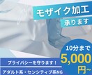 動画のモザイク、ぼかし加工します 丁寧に迅速にプライバシーを守ります イメージ1