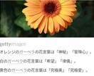 あなたの心に寄り添います アドバイスほしい方、聞いてほしいだけの方！ イメージ1
