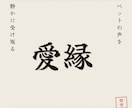 ペットが伝えたいことと縁の意味を霊視で読み解きます なぜこの子があなたのもとに来たのか、静かに照らします イメージ1