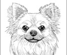 犬、猫など大切なペットの似顔絵を描きます ワンちゃんが経験多いですが、他の子でもご依頼ください イメージ5