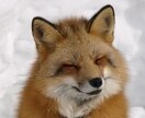 全般【お試し】で占います 貴方の悩みを一緒に幸運に導きます✩*.ﾟ イメージ1