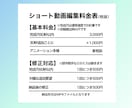 丸投げOK！ショート動画編集ます ※YouTube・TikTok・Instagram・Xなど イメージ2
