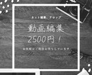 シンプルな動画編集します ココナラ初心者のため最低価格で出品します イメージ1