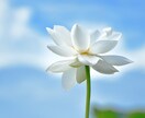 悩み、迷い。スピリチュアルカウンセリングします どうしたらいいの？チャネリングメッセージをお届けします イメージ3