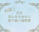 ワンコインからトリセツ作ります トリセツとして気になる項目のみ選べるお試し鑑定です イメージ1