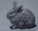 あなたのペットの写真からイラストを描きます キャッチーなコピーも併せて提供させて頂きます。 イメージ8