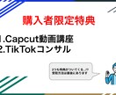 TikTok2万人の基礎知識とノウハウを教えます TikTokコンサルも実践しているノウハウPDFを配布 イメージ2