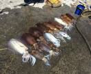 アオリイカ釣り ヤエン釣り 爆釣方法教えます ヤエン釣りを初めたばかりの人 なかなかうまくならない人 イメージ1