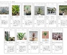 お庭の環境とイメージにマッチした植物を選定します お庭に植える植物選びにお困りの方へ イメージ3