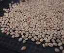 現役バリスタがコーヒーを美味しく淹れる方法教えます コーヒーって淹れるの難しい…でも基本さえ押さえれば大丈夫！ イメージ3