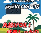 11万人YouTuberが広告運用します 1000再生～大手事務所も利用する広告手法で動画を成長へ イメージ5