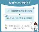クラファンLP Makuakeページ制作します トリミングサロン・ペット事業の実績多数|修正無制限で安心 イメージ2