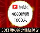 Youtube 4000時間＆1000人拡散します ⭐️収益化多数⭐️チャンネル収益化⭐️ イメージ1