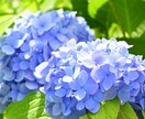 精神的に辛いあなたへカウセリングします 経験を活かし、カウセリングいたします イメージ1