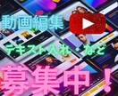 無料相談OK！YouTube動画をお届けします 継続購入大歓迎！2ヶ月目以降割引！現役動画投稿者にお任せ！ イメージ1