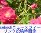 Facebookタイムライン（ニュースフィード）の画像制作します イメージ2