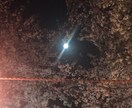 タロットで空からの言葉をお伝えします 誰かに聞いてほしい、背中を押してほしいあなたに イメージ1