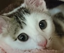 時短〜じっくり鑑定OK✡️オリジナル占術で占います どちらに進めばいい？恋愛、仕事、家族、友人など全力鑑定 イメージ7