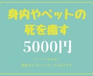 今あなたに必要なヒントを愛に包んで届けます ：霊視（リーディング）で過去生からアドバイスを致します イメージ8