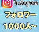 インスタグラムフォロワー１０００人増加します インスタグラムフォロワー増加・拡散します イメージ1