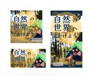 目的にちかづけるようなフライヤーを作ります 深い色の大人のカラーを主に使用します！ イメージ3
