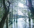 解離性同一性障害(多重人格)のお悩みお聞きします たくさんの自分に悩むあなたへ。 イメージ1