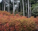 何でも相談に乗ります 話を聞くのが得意です。絶対に否定はしません！ イメージ2