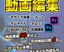 YouTubeなどの動画編集いたします 動画50本以上の制作実績を持つプロが担当いたします イメージ1