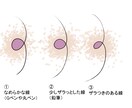 貴方だけの可愛い女の子のアイコン描きます 商用利用可能♪貴方のデザインで貴方だけのアイコン作ります！ イメージ4