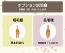 あなたのお顔を猫ちゃんイラスト化します あなただけのオリジナルアイコンはいかがですか♪ イメージ4