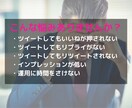 破格！プロがあなたのTwitter運用を補助します 忙しいあなたへ。アカウントを効率的に補助し認知をあげます。 イメージ3