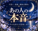 あの人の本音と二人の未来を神託霊視で読み解きます 月明かりのように寄り添い、苦しい恋の行方を丁寧に視ます イメージ1