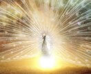 未来を占う恋愛相談：あなたの愛の行方を鑑定します 占いで導くあなたの人生、最良の結末へ イメージ2