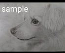 愛犬、愛猫、ペットのリアルな似顔絵オーダー承ります 精密描写で描きます。インテリアアートなどにいかがでしょうか。 イメージ3