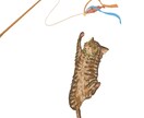 ゆるくて可愛いタッチの似顔絵を描きます アイコンや記念日のプレゼント等に最適です！ イメージ5