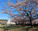 あなたの心のモヤモヤを聞かせていただきます HSPの29歳があなたのココロに寄り添います イメージ5