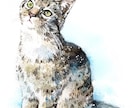 透明水彩で動物、ペットのイラストを手描きします 手描きの水彩画のイラスト原画を、ご自宅やプレゼント用に イメージ8