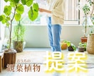 観葉植物のお悩み解決アドバイスします 庭木のご相談も！あなたにぴったりの植物を知りたい方へ イメージ1