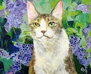 ペットの写真から、水彩画を手描きします 一般社団法人光風会で猫の絵を描いてきた作家が作品を制作します イメージ7