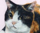 羊毛画であなたの猫ちゃんをそっくりに作ります どこにもない平面の羊毛アート！2L(13cm×18cm) イメージ2