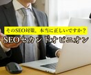 既存サイトのSEOセカンドオピニオン診断します 専門家視点で現状分析と改善策を提案 イメージ1